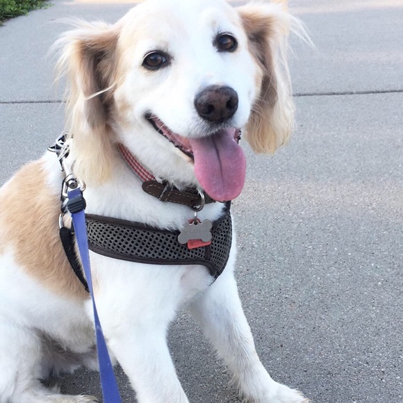 Meet your Posher, Kristine - Picture 1 of 1